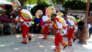 Danza de los Guaguas Papantla Veracruz [upl. by Brosy273]