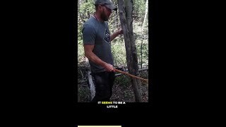 I Mastered Fire Techniques In The Aspen Wilderness [upl. by Lokkin]