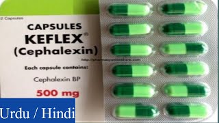 Keflex Cephalexin Capsules uses side effects and Warning [upl. by Nilyarg711]