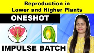 Reproduction in Lower and Higher Plants  Impulse Batch  Biology Maharashtra State  MHTCET 2021 [upl. by Anaicul957]