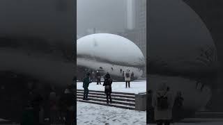 Chicago Gets Its First Snowfall shorts christmas snow firstsnow [upl. by Mloclam]