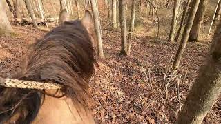 Free camping and trail riding  Blackwell Horse Camp Indiana Hoosier National Forest [upl. by Amsirhc]