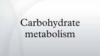 Carbohydrate metabolism [upl. by Godart]