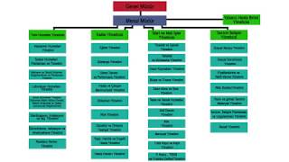 Klinik Yönetim Modeli ve Organizasyon Şeması [upl. by Ibmat359]