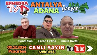 10122024 Salı Antalya ve Adana Altılı Ganyan Tahminleri [upl. by Omik515]