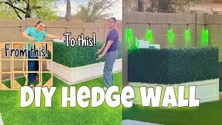 HOW TO MAKE A HEDGE PLANTER  SUPER EASY amp BUDGET FRIENDLY DIY with Xmcosy [upl. by Maillij376]