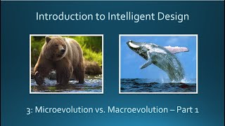 3 Microevolution vs Macroevolution Part 1 [upl. by Eyr468]