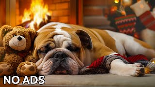 12 Hours Of Dog Calming Music 🐶 Relaxing Music for Dogs 💖 AntiSeparation Anxiety Music for Sleep 💤 [upl. by Malanie]