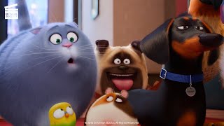 The Secret Life of Pets 2  Go Fetch the Sheep Scene 610  Movieclips [upl. by Neltiak]