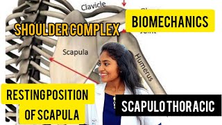 scapulothoracic joint biomechanics resting position of scapula [upl. by Rew]