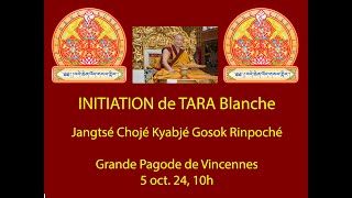 Initiation de longue vie de Tara Blanche  SE Djangtsé Tcheujé Kyabjé Gosok Rinpoche [upl. by Syst]