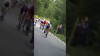 Cycling descending worldchampionship cycling [upl. by Odab458]