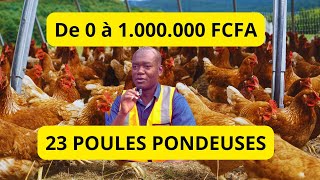 De 0 à 1 000 000 avec 23 POULES PONDEUSES Seulement INCROYABLE mais VRAI [upl. by Ennej668]