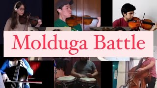 Molduga cover The Legend of Zelda Breath of the Wild [upl. by Oiluarb604]