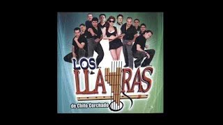 Los Llayras  Vuela Mariposa Audio Oficial [upl. by Otrepur118]