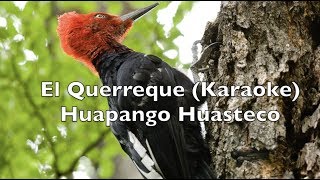 El Querreque Karaoke  Huapango Huasteco [upl. by Cilurzo]