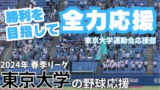 【勝つその日まで全力応援】東京大学の野球応援 2024年 東京六大学野球春季リーグ 立教大学戦 [upl. by Luigi]