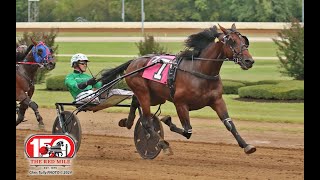 Gap Kronos amp Åke Svanstedt won Bluegrass Series 2 YO old CampG 3rd div in 1543 at Red Mile [upl. by Ddart]