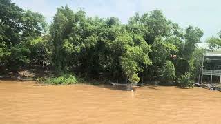 Relaxing Mekong River Delta Cruise POV Riverbank View Vietnam Cambodia AMA Waterways AmaDara [upl. by Emelen]