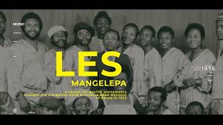 The Very Best of Les Mangelepa  VDJ Jones Mix [upl. by Hsevahb]