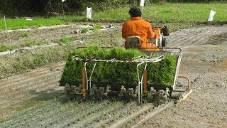 Copy of Redlands Rice transplanter [upl. by Ayot36]