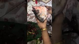 বড় কাতলা মাছের মাথা কিভাবে কাটবেন  How to cutting big katla fish at home  easy fish cutting tips [upl. by Lontson]