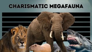 Charismatic Megafauna TIER LIST  Gentlemen of the Corax Episode 8 [upl. by Greenfield]