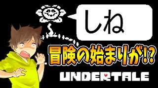 【アンダーテール1】可愛い花フラウィがいきなり裏切る！？【Undertale】ゆっくり実況プレイ [upl. by Elokcin878]