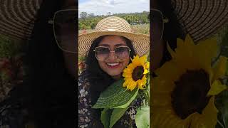 Sydney Australia Flower picking and farm visit malayalam mini vlog shorts malayalam minivlog [upl. by Rezal]