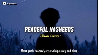 5 Soul healing Nasheeds  Slowed amp reverb  Happiness [upl. by Devland965]