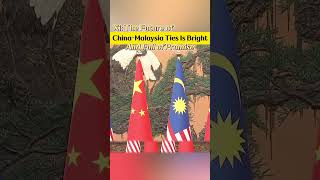 Xi The future of china  malaysia ties is bright and full of promisefyp fypシ xijinping [upl. by Dolli]