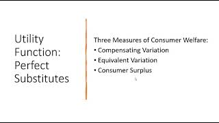 Perfect Substitutes Utility Compensating Variation Equivalent Variation and Consumer Surplus [upl. by Ellerahs483]