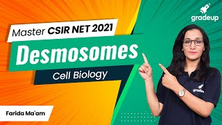 CSIR NET Master Series  Cell Biology  Desmosomes  Cell Junction  Gap Junction  Gradeup [upl. by Childers7]