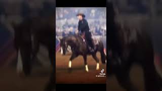 Reining horses horse rodeotime horseenthusiast rodeolife horsefan [upl. by Leahcim]