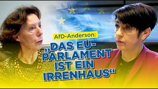 AfDAnderson „Das EUParlament ist ein Irrenhaus“ [upl. by Rosenwald]