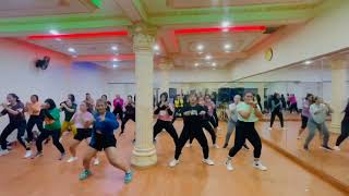 GO CRAZY REMIX  ZIN VOLUME 108  ZUMBA FITNESS [upl. by Miarhpe]