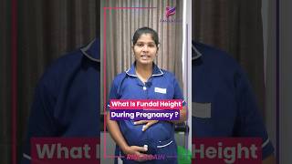 What Is Fundal Height During Pregnancy [upl. by Nialb825]