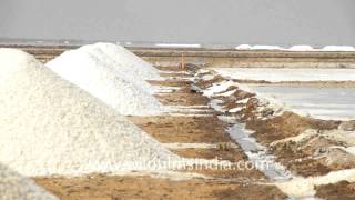 Salt pans Gujarat [upl. by Olette]