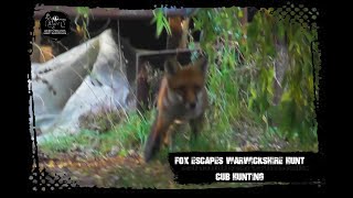 Fox escapes Warwickshire Hunt cub hunting [upl. by Seppala]