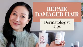 How to Repair Damaged Hair  Dermatologist Tips [upl. by Mariel336]