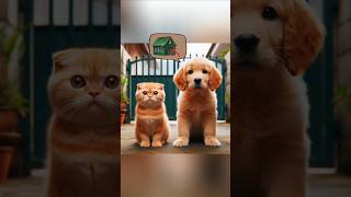 Cute Puppy Dogs shorts doglover dog puppy funny viral youtubeshorts shortsfeed trending [upl. by Stringer]