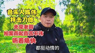 音乐人陈伟抨击刀郎，北京老哥拍案而起直言不讳，听着痛快 [upl. by Lisk]