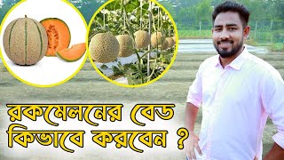 রকমেলনের বেড কীভাবে তৈরি করবেন  Agro One  একটি আধুনিক কৃষি প্রচেষ্টা [upl. by Zimmermann]