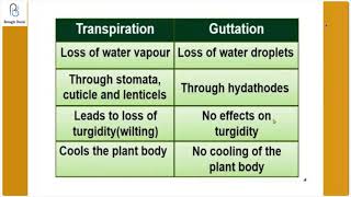 DIFFERENCE BETWEEN TRANSPIRATION AND GUTTATIONICSE BIOLOGY 10Shorts [upl. by Winograd]