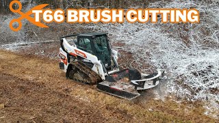 Bobcat T66 Brush Cutting Using 72quot Rut Terminator XP [upl. by Gonroff306]