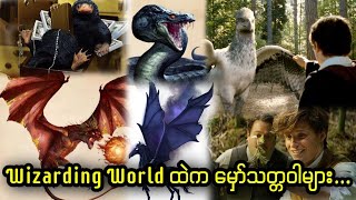 Wizarding World ထဲက မှော်သတ္တဝါများ [upl. by Ruhtua]