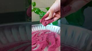 Homemade Beetroot Powder beetrootpowder homemade beetroot glowingskin shorts tamil beautytips [upl. by Marozas820]