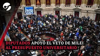 La CÁMARA DE DIPUTADOS votó a favor del VETO a la LEY de FINANCIAMIENTO UNIVERSITARIO [upl. by Natalee]