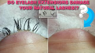 Do Eyelash Extensions Damage Your Natural Eylashes [upl. by Bran]