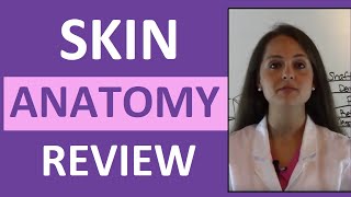 Anatomy amp Physiology Integumentary Skin System Overview [upl. by Elirpa]